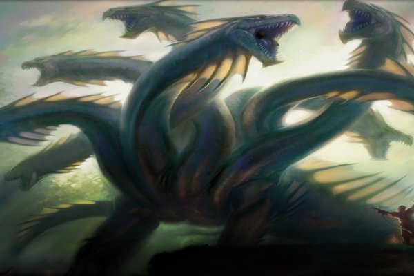 Kraken biz