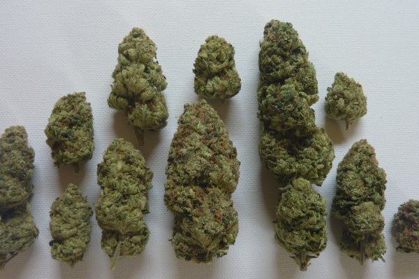 Не пришли деньги на кракен