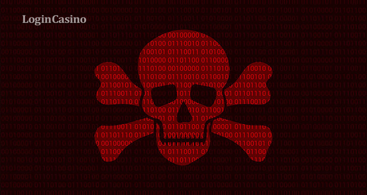 Kraken dark net